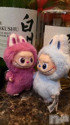 Х顦CLUB  DM(֥ǥ) ߡ1012̥֥DQN