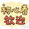 饤֥å 饤֥åȥץApollo-niigata(饤֥åȥץ󥢥ݥ˥)64֥ͥ6åȥǥǲԤ㤪