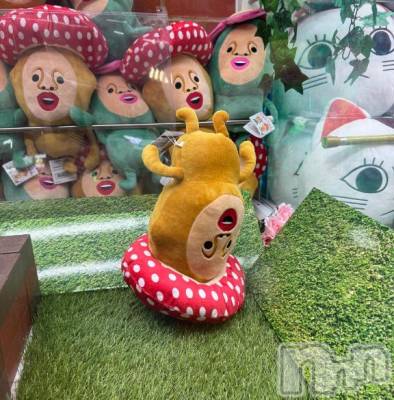 長岡デリヘル ROOKIE(ルーキー) ななみ☆プラチナ(21)の9月15日写メブログ「《予約時間》について💞 見てね↓↓↓」