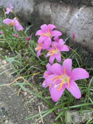 新潟デリヘル 新潟人妻デリバリーヘルス 下心 ～したごころ～(シタゴコロ) 新田(にった)奥様(34)の7月10日写メブログ「傘を持ってきた日に限って」