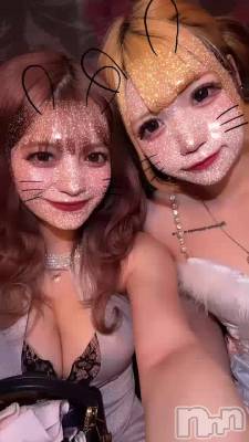 Ԥ₍ᵔ˶- ̫-˶ᵔ₎