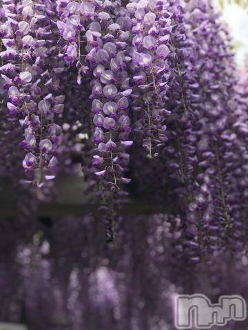 新潟デリヘル五十路マダム新潟店(カサブランカグループ)(イソジマダムニイガタテン) 宮下かずき(51)の6月26日写メブログ「6/26予定変更です。」