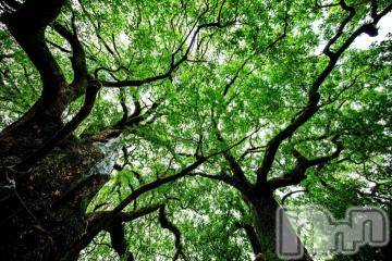 新潟デリヘル五十路マダム新潟店(カサブランカグループ)(イソジマダムニイガタテン) 宮下かずき(51)の7月7日写メブログ「7/6のお礼です。」