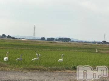 新潟デリヘル五十路マダム新潟店(カサブランカグループ)(イソジマダムニイガタテン) 宮下かずき(51)の11月1日写メブログ「こんばんは」