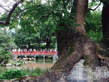 新潟デリヘル五十路マダム新潟店(カサブランカグループ)(イソジマダムニイガタテン) 宮下かずき(51)の12月11日写メブログ「12/10のお礼です。」