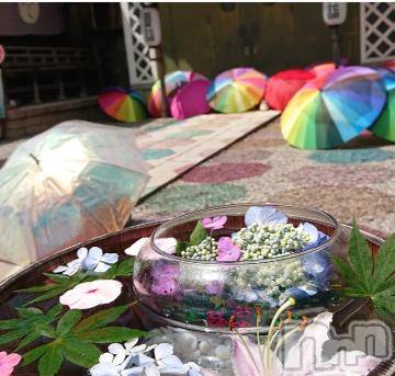 新潟デリヘル五十路マダム新潟店(カサブランカグループ)(イソジマダムニイガタテン) 宮下かずき(51)の7月9日写メブログ「7/8のお礼です。」