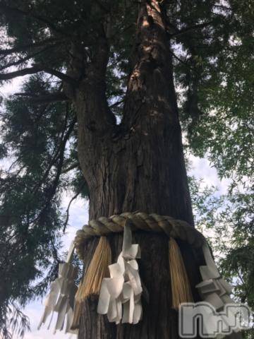 新潟デリヘル五十路マダム新潟店(カサブランカグループ)(イソジマダムニイガタテン) 宮下かずき(51)の6月22日写メブログ「ありがとう」