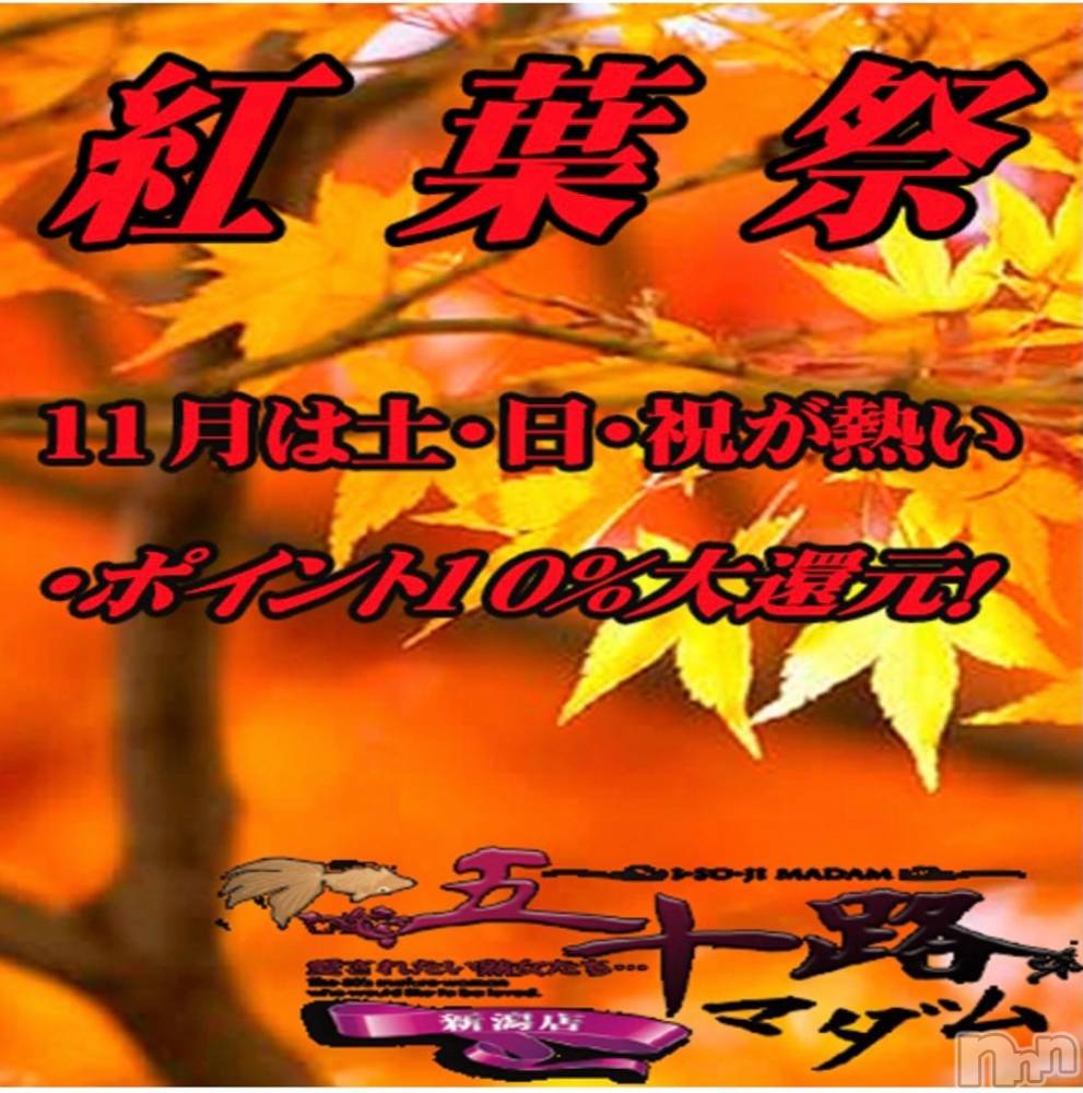 新潟デリヘル五十路マダム新潟店(カサブランカグループ)(イソジマダムニイガタテン) 宮下かずき(51)の11月2日写メブログ「イベント開催中」