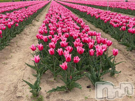 新潟デリヘル五十路マダム新潟店(カサブランカグループ)(イソジマダムニイガタテン) 宮下かずき(51)の5月4日写メブログ「すみません」