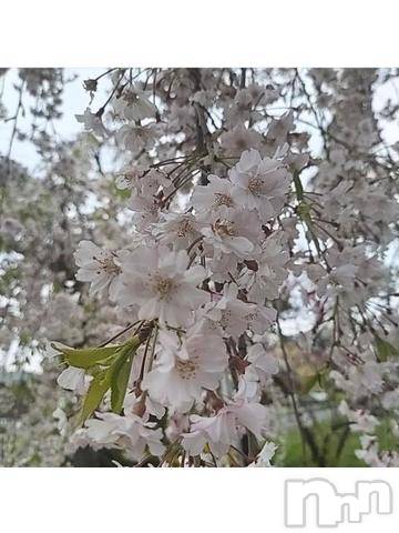 新潟デリヘル五十路マダム新潟店(カサブランカグループ)(イソジマダムニイガタテン)宮下かずき(51)の2022年4月23日写メブログ「4/23のお礼です。」