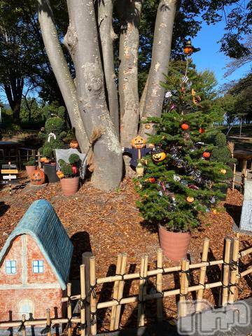 新潟デリヘル五十路マダム新潟店(カサブランカグループ)(イソジマダムニイガタテン)宮下かずき(51)の2022年10月20日写メブログ「10/19のお礼です。」