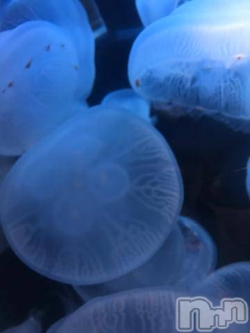 新潟デリヘル五十路マダム新潟店(カサブランカグループ)(イソジマダムニイガタテン)宮下かずき(51)の2023年6月23日写メブログ「6/22のお礼です。」