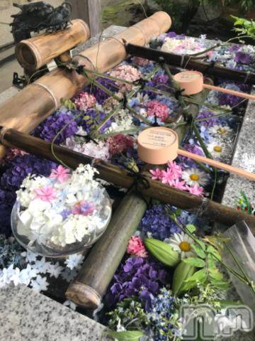 新潟デリヘル五十路マダム新潟店(カサブランカグループ)(イソジマダムニイガタテン)宮下かずき(51)の2023年7月2日写メブログ「こんにちは」