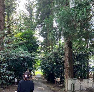 新潟デリヘル五十路マダム新潟店(カサブランカグループ)(イソジマダムニイガタテン)宮下かずき(51)の2023年9月6日写メブログ「早めに出勤出来ます」