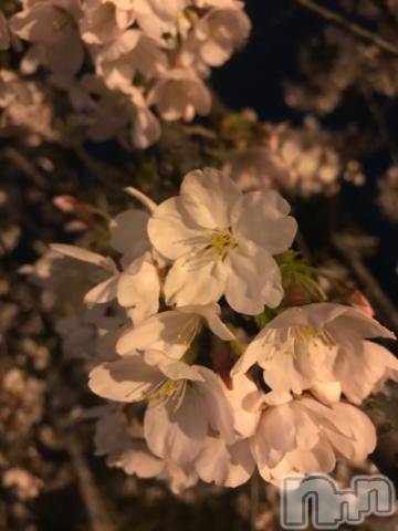 新潟デリヘル五十路マダム新潟店(カサブランカグループ)(イソジマダムニイガタテン)宮下かずき(51)の2024年4月9日写メブログ「お礼です。」