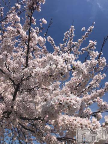 新潟デリヘル五十路マダム新潟店(カサブランカグループ)(イソジマダムニイガタテン)宮下かずき(51)の2024年4月10日写メブログ「綺麗✨」