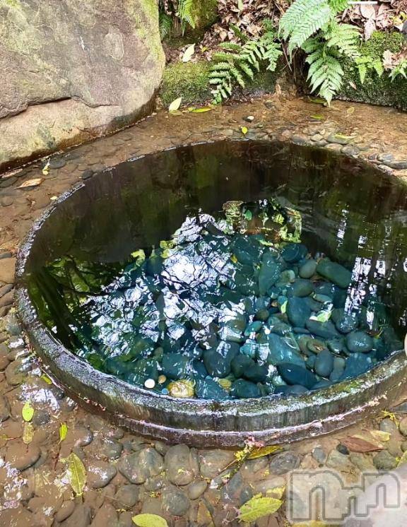 新潟デリヘル五十路マダム新潟店(カサブランカグループ)(イソジマダムニイガタテン)宮下かずき(51)の2025年8月3日写メブログ「出勤しました」