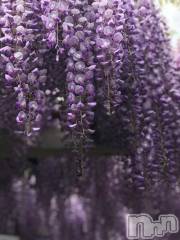 新潟デリヘル五十路マダム新潟店(カサブランカグループ)(イソジマダムニイガタテン) 宮下かずき(51)の6月26日写メブログ「6/26予定変更です。」