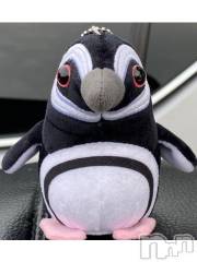 新潟デリヘル五十路マダム新潟店(カサブランカグループ)(イソジマダムニイガタテン) 宮下かずき(51)の4月28日写メブログ「おはようございます。」