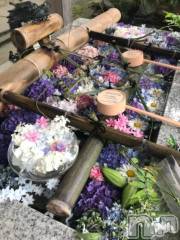 新潟デリヘル五十路マダム新潟店(カサブランカグループ)(イソジマダムニイガタテン) 宮下かずき(51)の7月12日写メブログ「お休みに変更します。」