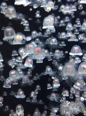 新潟デリヘル 五十路マダム新潟店(カサブランカグループ)(イソジマダムニイガタテン) 宮下かずき(51)の6月24日写メブログ「6/23のお礼とごめんなさい。」