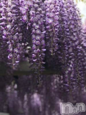 新潟デリヘル 五十路マダム新潟店(カサブランカグループ)(イソジマダムニイガタテン) 宮下かずき(51)の6月26日写メブログ「6/26予定変更です。」