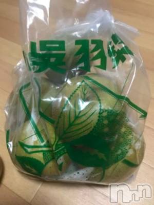 新潟デリヘル 五十路マダム新潟店(カサブランカグループ)(イソジマダムニイガタテン) 宮下かずき(51)の8月20日写メブログ「おはようございます。」