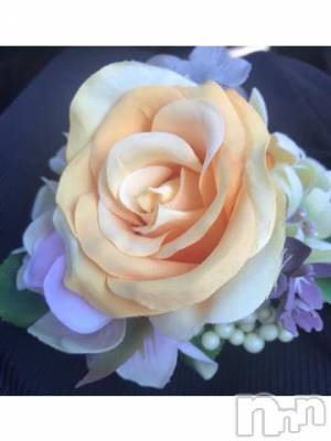 新潟デリヘル 五十路マダム新潟店(カサブランカグループ)(イソジマダムニイガタテン) 宮下かずき(51)の9月25日写メブログ「おはようございます」