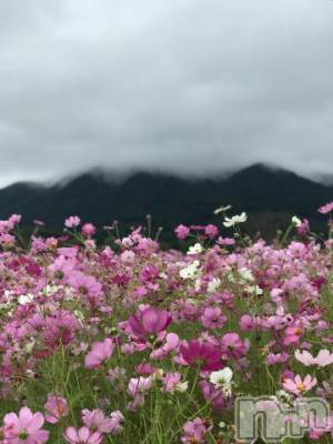 新潟デリヘル 五十路マダム新潟店(カサブランカグループ)(イソジマダムニイガタテン) 宮下かずき(51)の10月23日写メブログ「10/22のお礼です。」