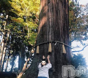 新潟デリヘル 五十路マダム新潟店(カサブランカグループ)(イソジマダムニイガタテン) 宮下かずき(51)の12月4日写メブログ「12/3のお礼です。」