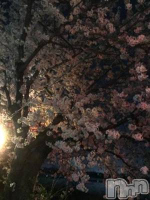 新潟デリヘル 五十路マダム新潟店(カサブランカグループ)(イソジマダムニイガタテン) 宮下かずき(51)の4月13日写メブログ「4/12のお礼です。」