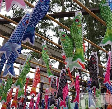 新潟デリヘル 五十路マダム新潟店(カサブランカグループ)(イソジマダムニイガタテン) 宮下かずき(51)の4月23日写メブログ「4/22のお礼です。」