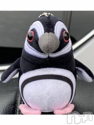 新潟デリヘル 五十路マダム新潟店(カサブランカグループ)(イソジマダムニイガタテン) 宮下かずき(51)の4月28日写メブログ「おはようございます。」