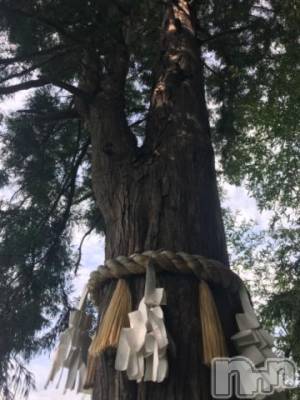 新潟デリヘル 五十路マダム新潟店(カサブランカグループ)(イソジマダムニイガタテン) 宮下かずき(51)の6月22日写メブログ「ありがとう」