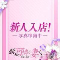 紗雪 夏帆