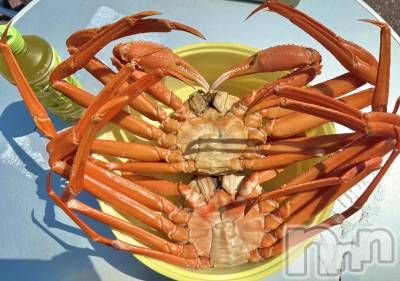 Х顦Lune LYNX(롼󥯥) 줤57ֳ̥֥🦀