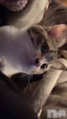 ͤ🥺