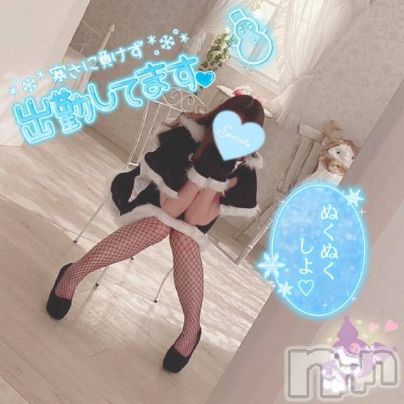新潟人妻デリヘル新潟人妻デリバリーヘルス 下心 ～したごころ～(シタゴコロ) 三城(みき)奥様(32)の12月28日写メブログ「輝く白い恋の始まりは…♪」