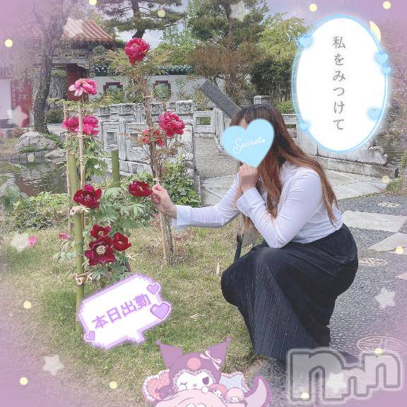 新潟人妻デリヘル新潟人妻デリバリーヘルス 下心 ～したごころ～(シタゴコロ)三城(みき)奥様(32)の2025年4月1日写メブログ「濡れた羽に希望の光…♪」
