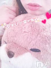 新潟デリヘル新潟人妻デリバリーヘルス 下心 ～したごころ～(シタゴコロ) 三城(みき)奥様(36)の3月31日写メブログ「意味不明な写真だぬ…！」