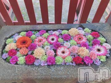 新潟デリヘル 新潟人妻デリバリーヘルス 下心 ～したごころ～(シタゴコロ) 三城(みき)奥様(36)の5月31日写メブログ「初めましてっ?」