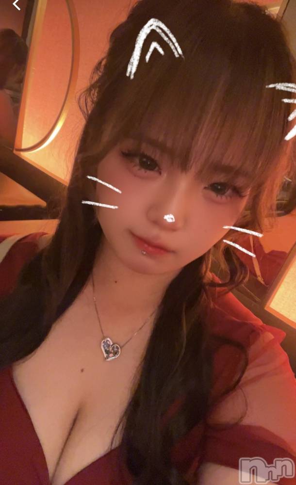 Х顦Diletto(ǥå) ʤ66̥֥🐱Ϥ🐱