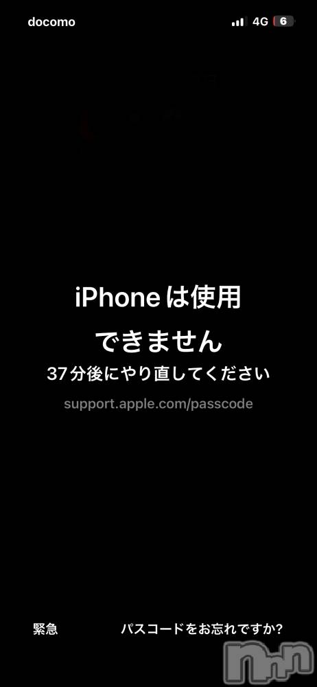 Х顦Diletto(ǥå) ʤ722̥֥🔋뤢🔋