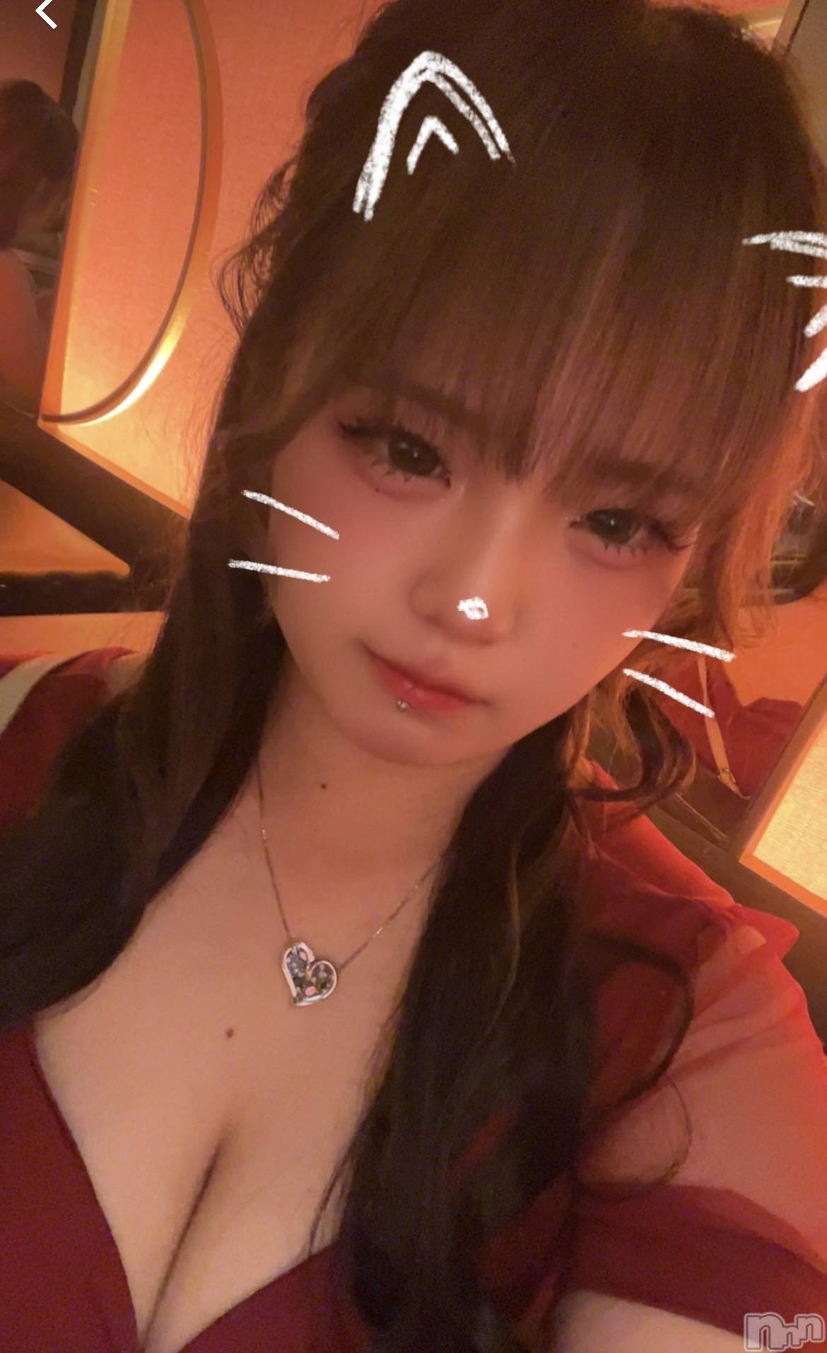 Х顦Diletto(ǥå) 2025ǯ66̥֥🐱Ϥ🐱