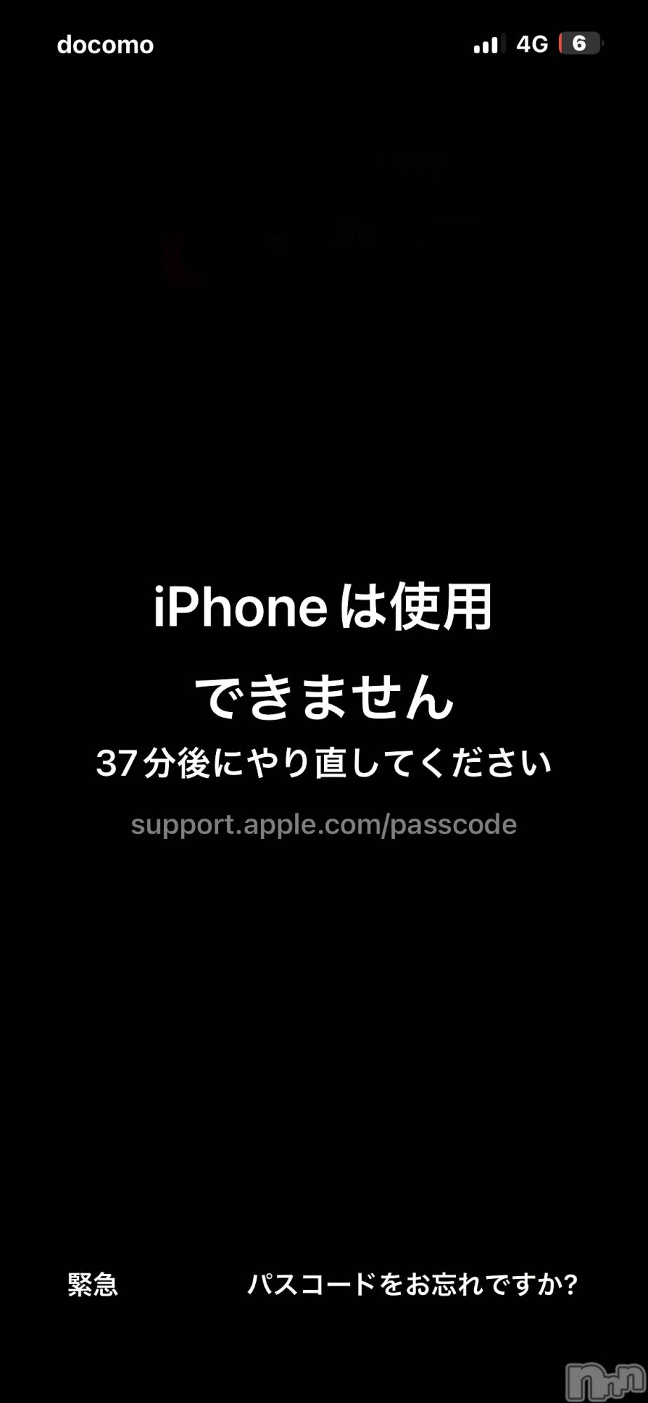 Х顦Diletto(ǥå) 2025ǯ722̥֥🔋뤢🔋