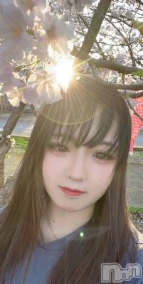 Х顦Diletto(ǥå) (25)421̥֥🌟🌟