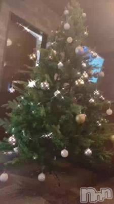 ‧✧̣̥̇‧✦‧✧̣̥̇🎄✧̣̥̇‧✦‧✧̣̥̇‧✦