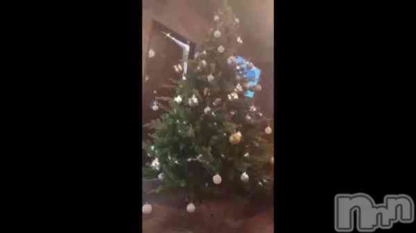 &#x2027;&#x2727;&#x323;&#x325;&#x307;&#x2027;&#x2726;&#x2027;&#x2727;&#x323;&#x325;&#x307;&#x1F384;&#x2727;&#x323;&#x325;&#x307;&#x2027;&#x2726;&#x2027;&#x2727;&#x323;&#x325;&#x307;&#x2027;&#x2726;