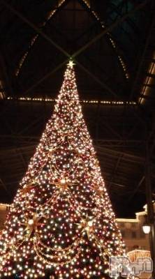 松本発デリヘル 松本人妻隊(マツモトヒトヅマタイ) りん(40)の12月24日写メブログ「間違えてしまいました」