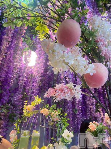 新潟デリヘル五十路マダム新潟店(カサブランカグループ)(イソジマダムニイガタテン) 山本美羽子(55)の8月4日写メブログ「おはようございます」